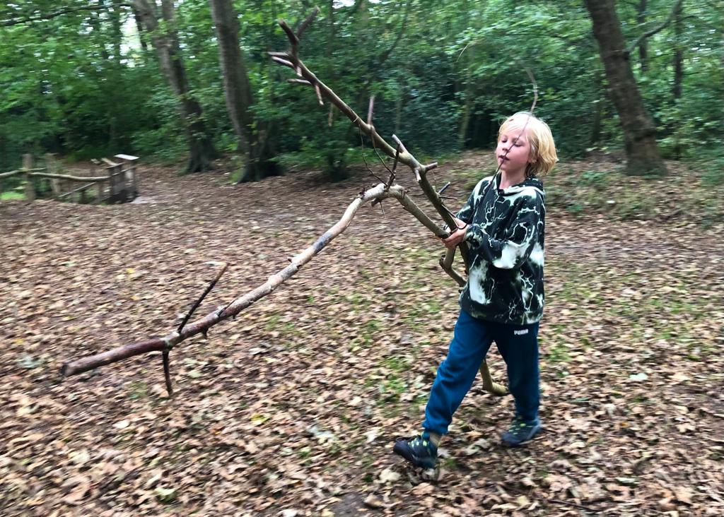 Foto’s van de afgelopen week