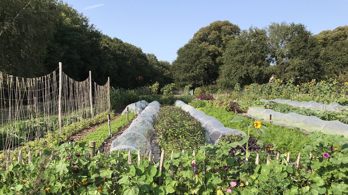 🌱 Ontdek onze Moestuin!