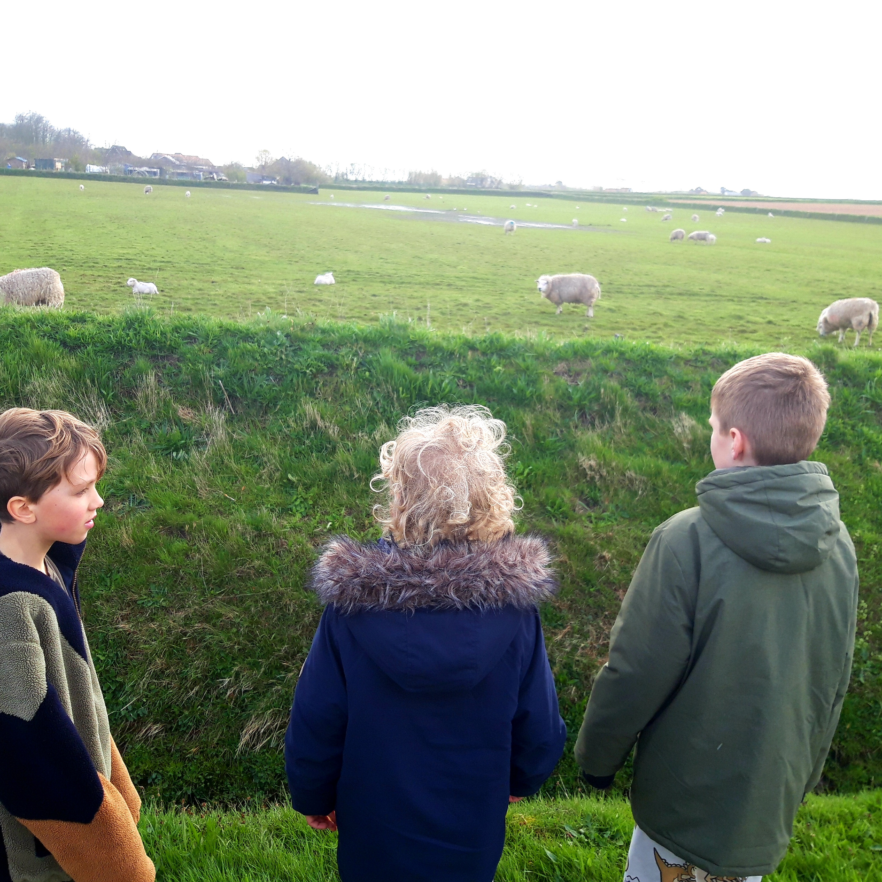 Weekbericht klas 1,2