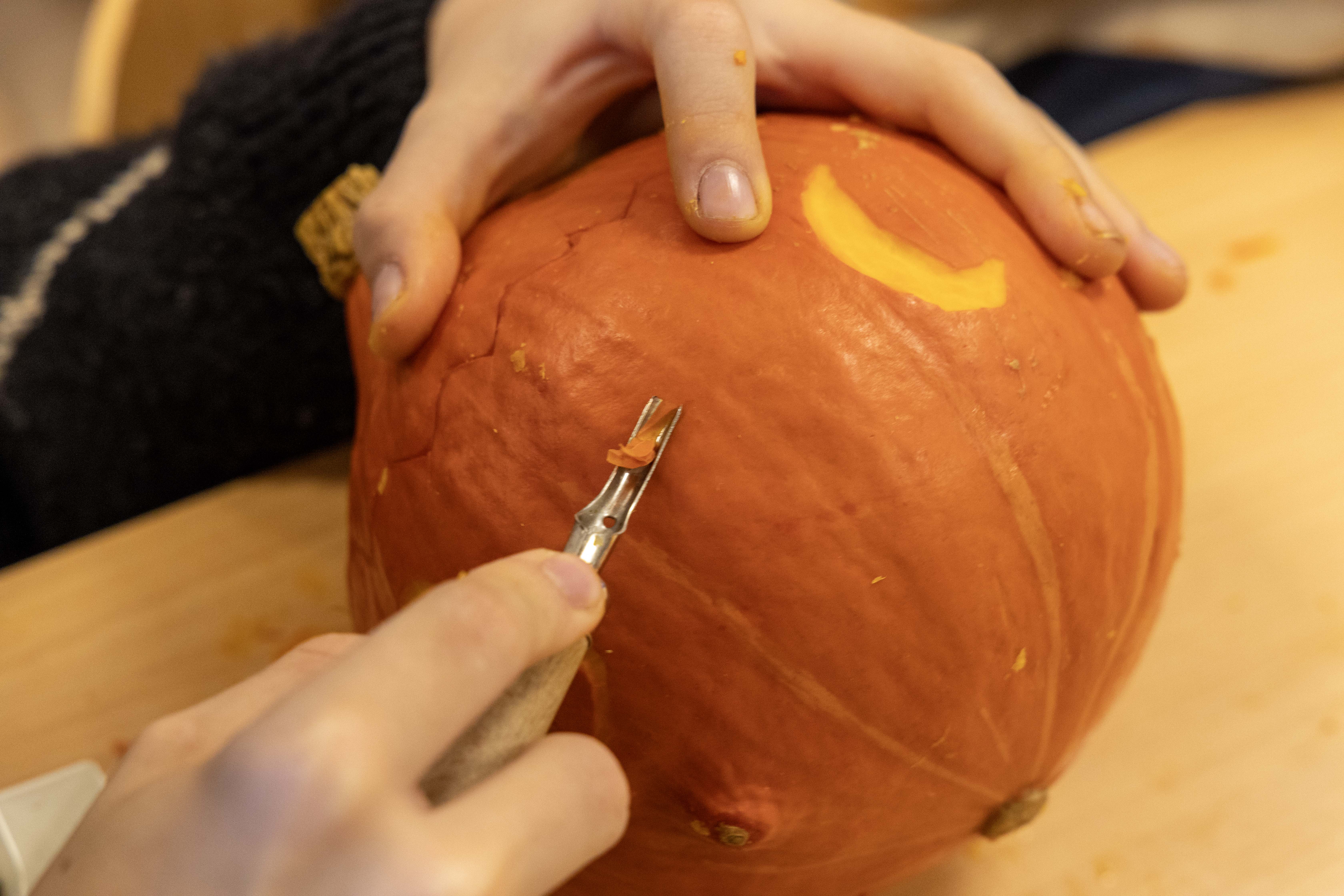 Persbericht: de vrijeschool op Texel viert St. Maarten
