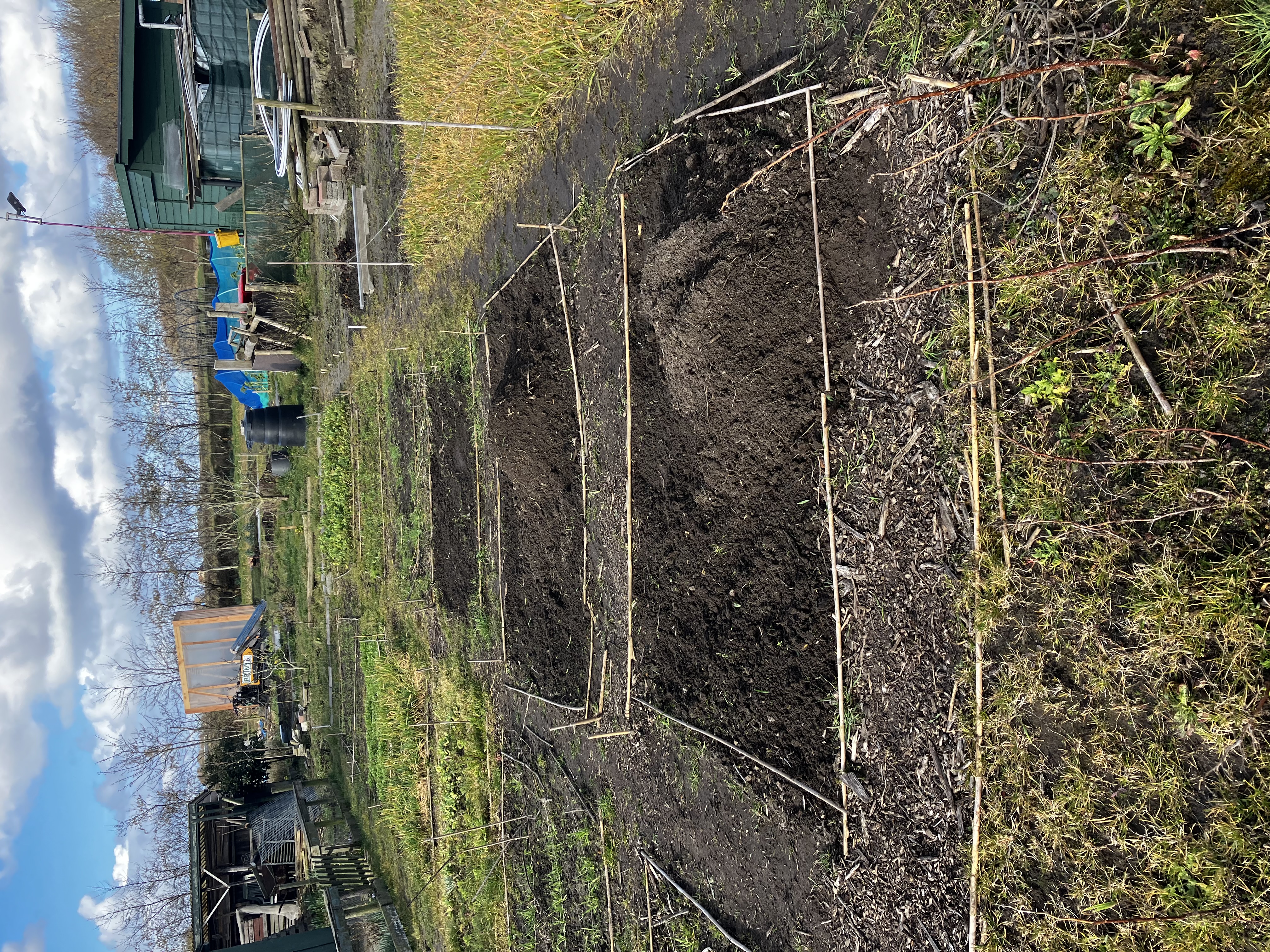 Weekbericht uit klas 5-6