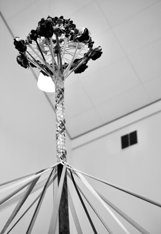 IMG_8846